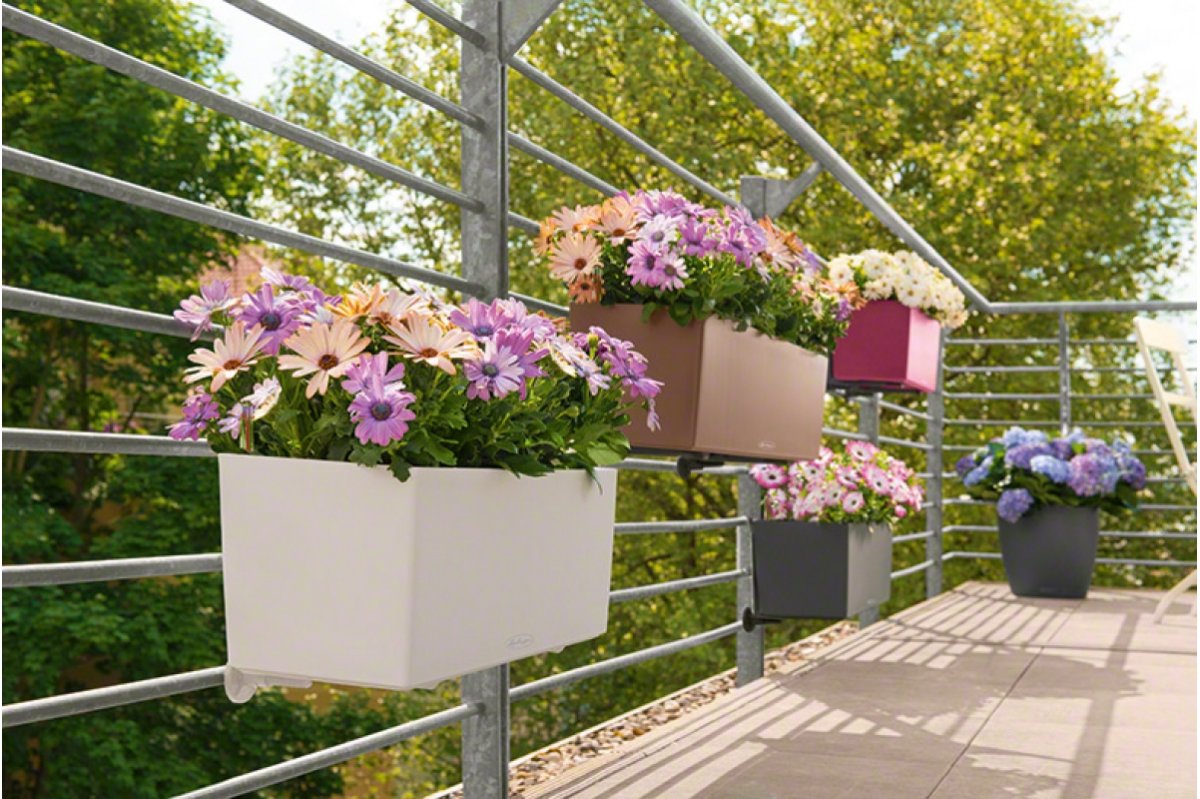 Кашпо Lechuza Balconera Color 80