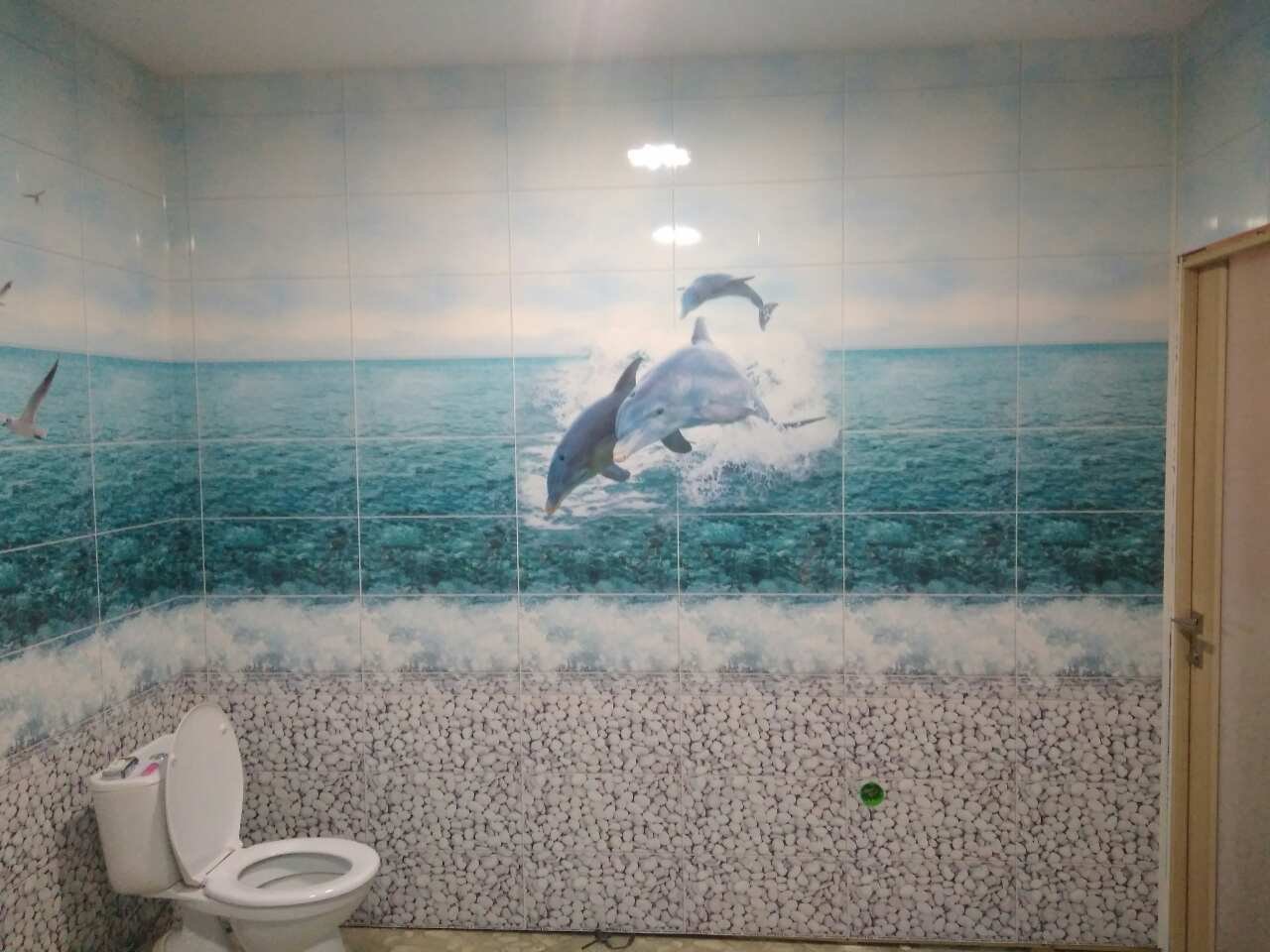 фото дельфина в ванной