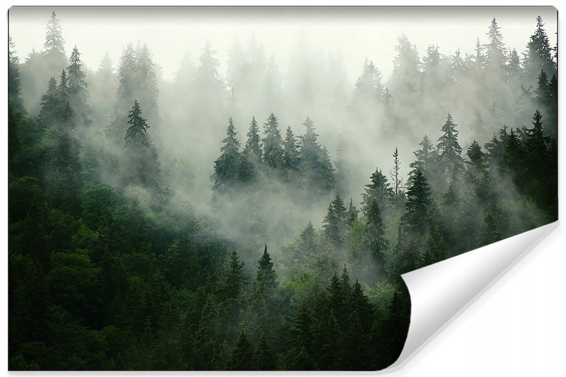 Фотообои туманный лес 300х270