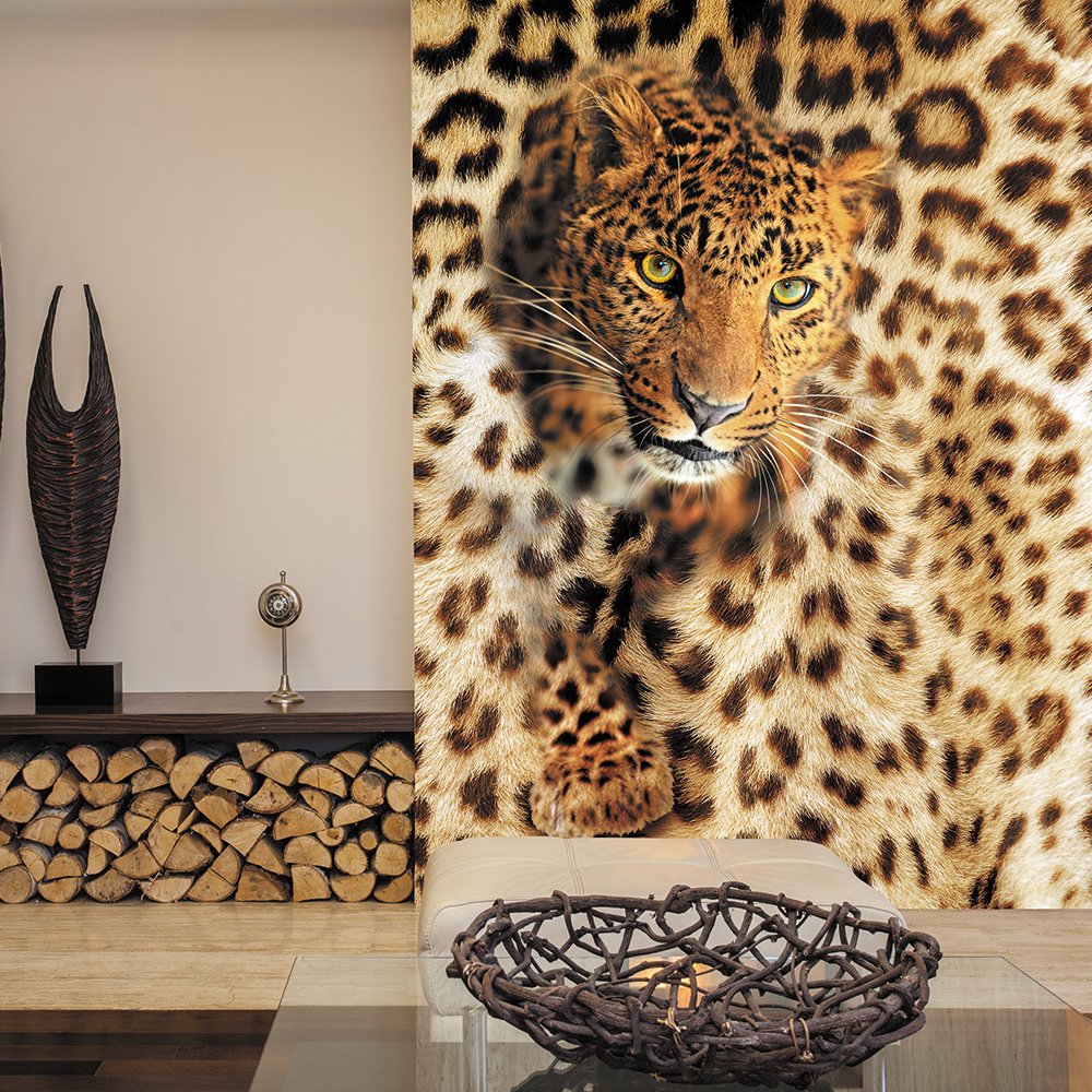 Леопардовые обои: фото, дизайн, правила использования