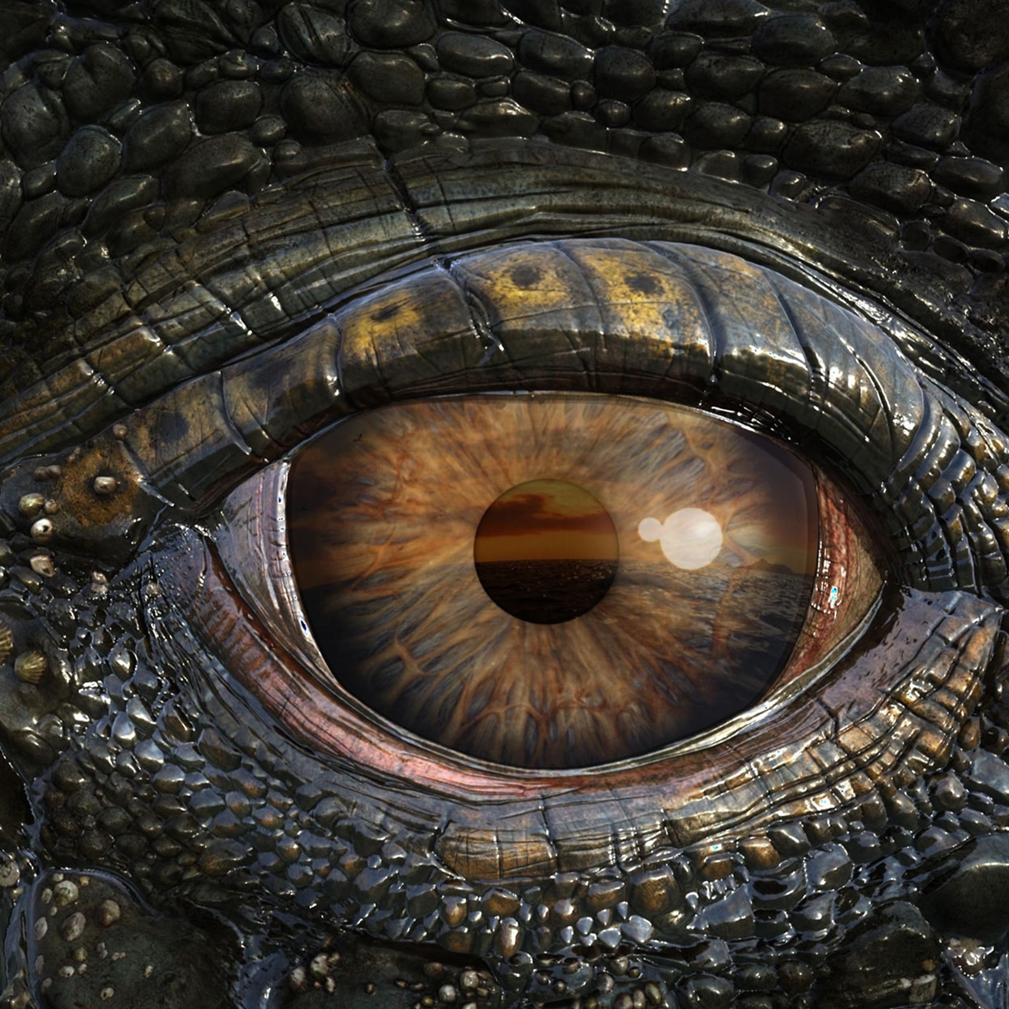 Морские динозавры 3d путешествие в доисторический. Морские динозавры 3d: путешествие в доисторический мир. Глаза дракона (Dragon Eyes). Глаз дракона Смауг.