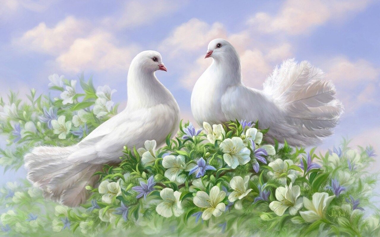 Счастье и верность. Голубь картина. Свадебные голуби. Открытка "голубь". Белый голубь.