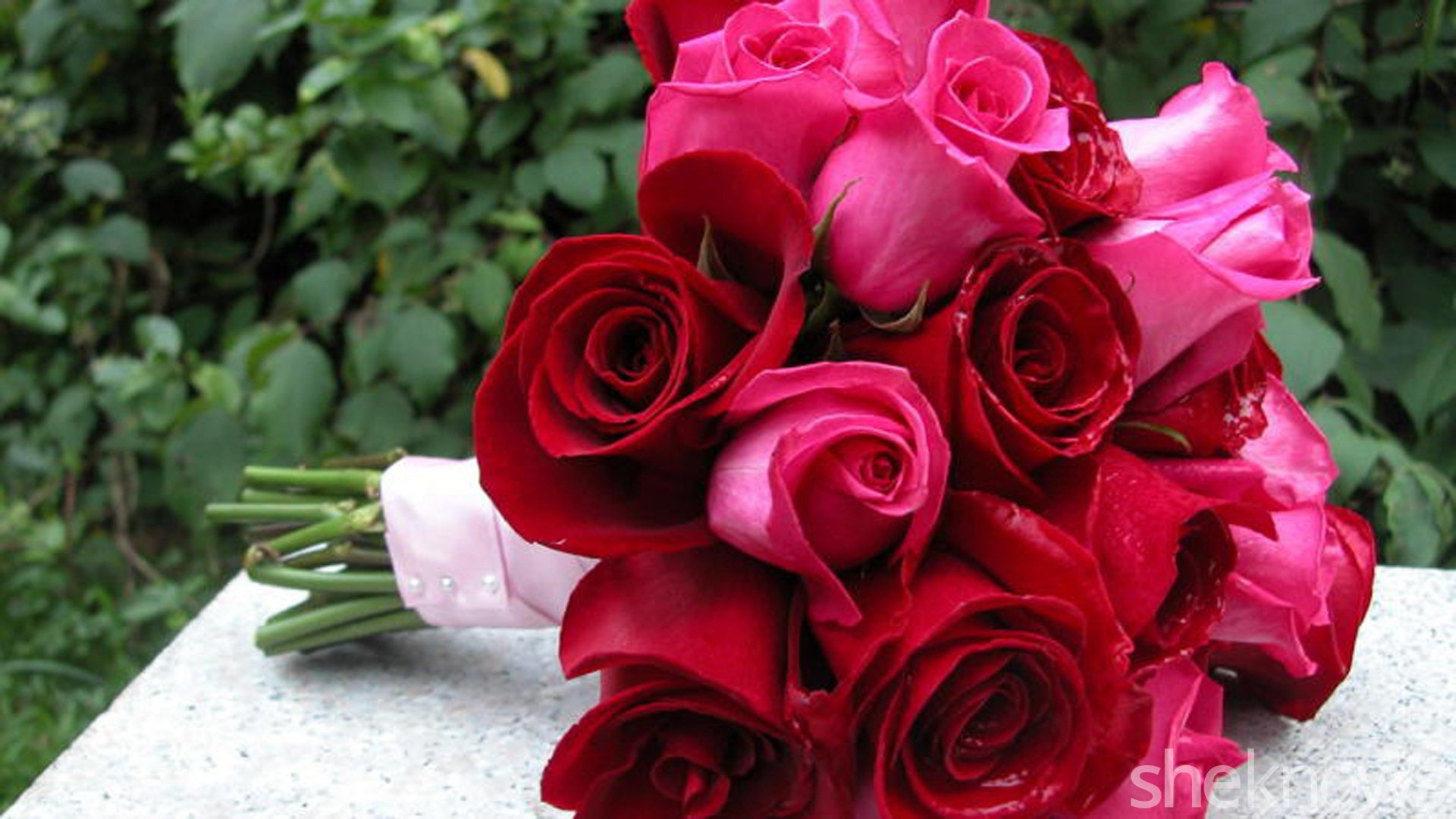 Картинки розы. Роза Иванхое. Красивый букет роз. Букеты роз шикарных. Роза шикарная.