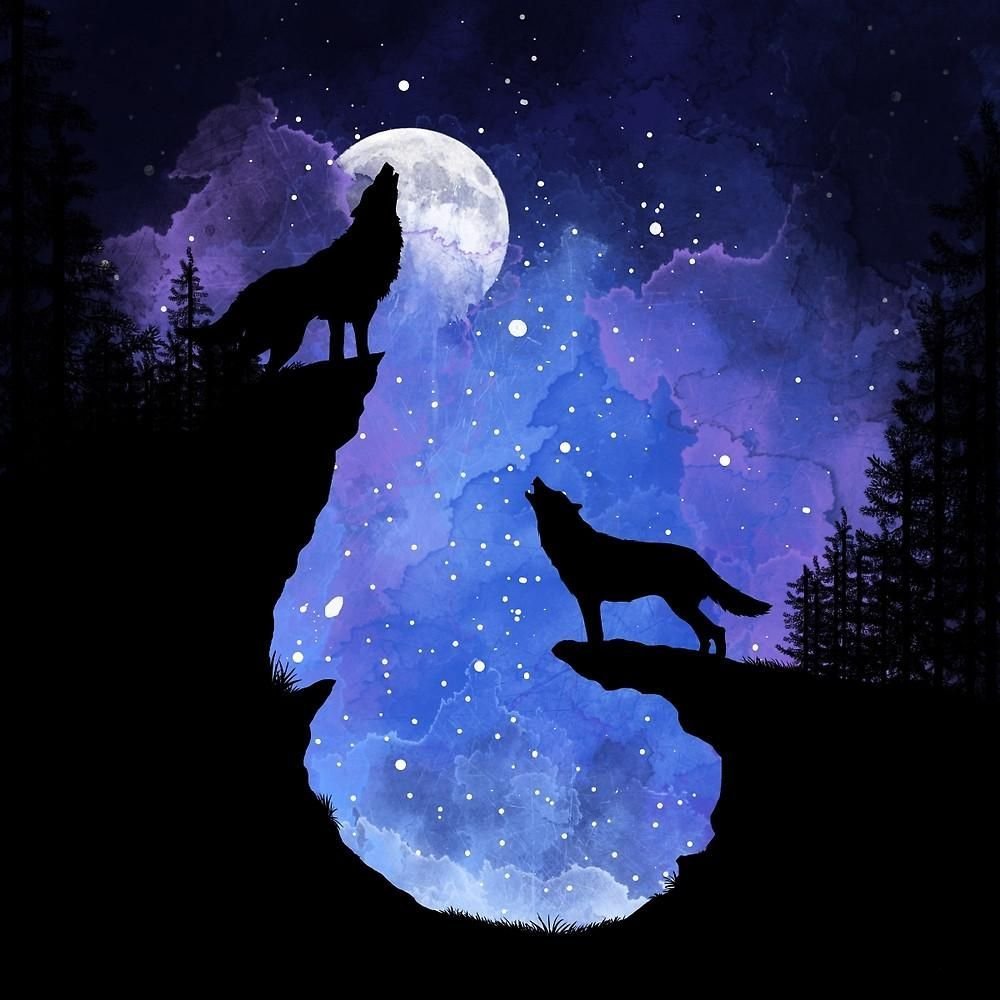 Ночь волков читать. Волк и Луна. Волк ночь Луна. Ночные волки. Волк воет на луну.