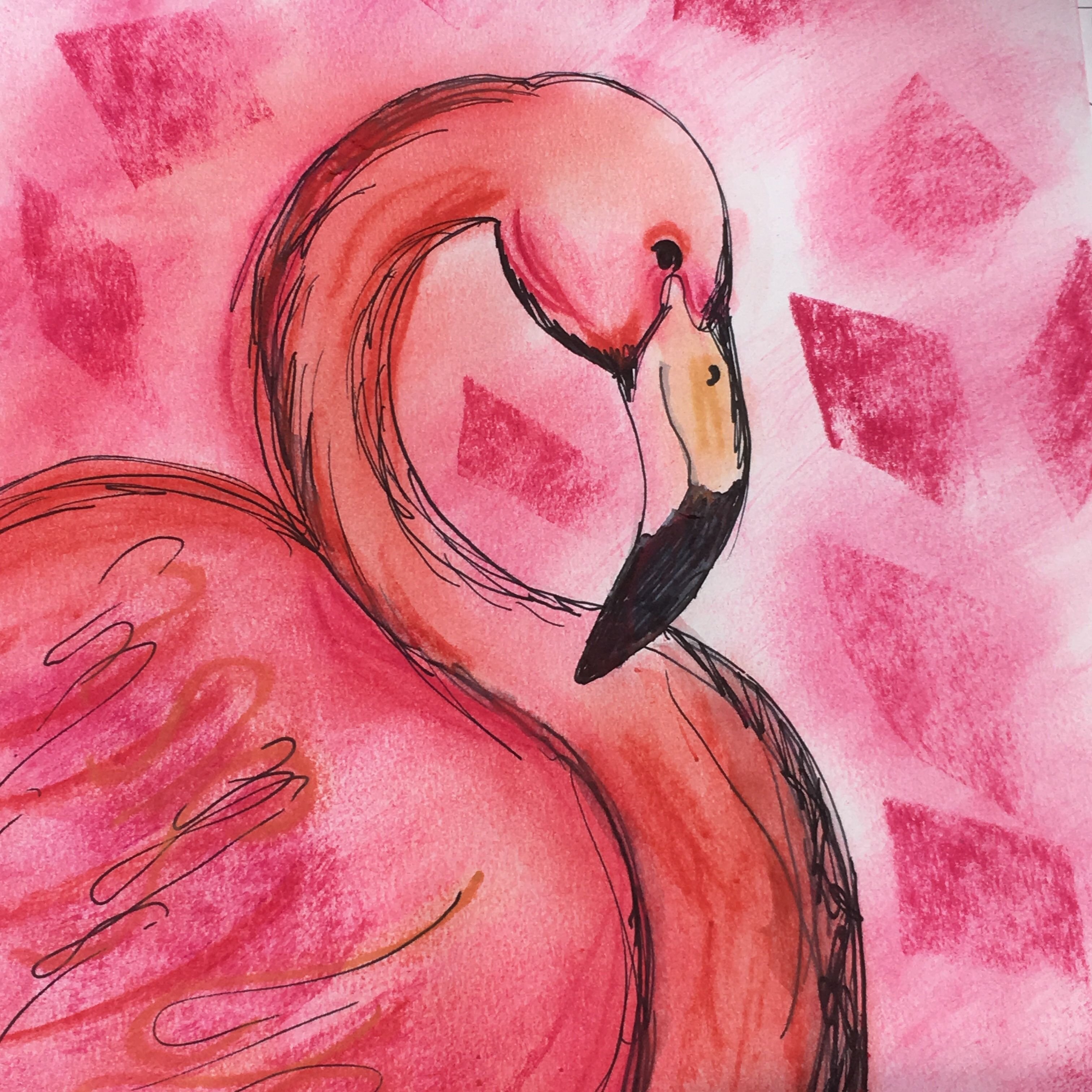 Фламинго легко. Рисунки для срисовки. Фламинго для срисовки. Красивые рисунки для срисовки. Фламинго цветными карандашами.