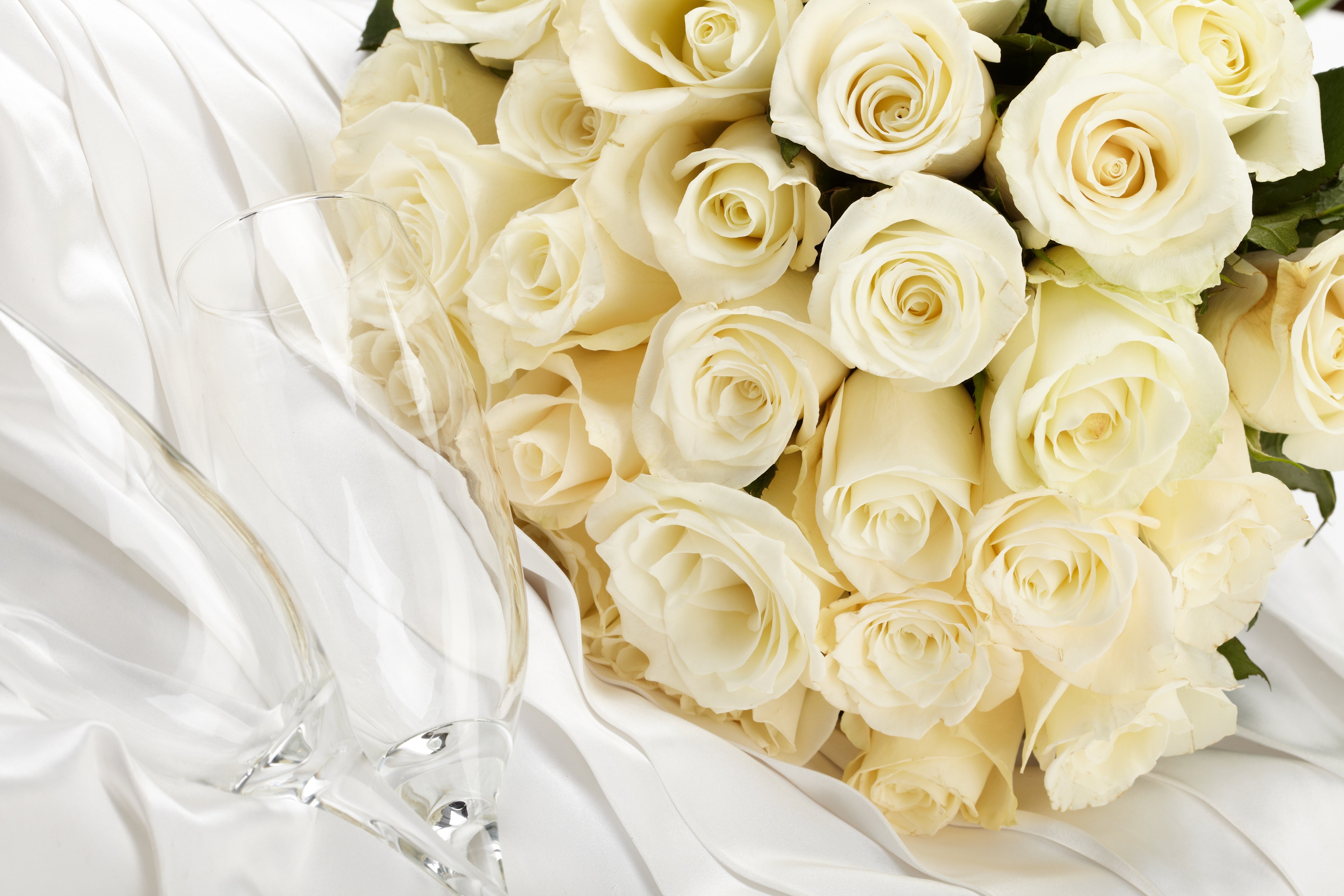 Белые розы оттенки. Красивые белые розы. Букет белых цветов. Букет белых роз. Огромный букет белых роз.