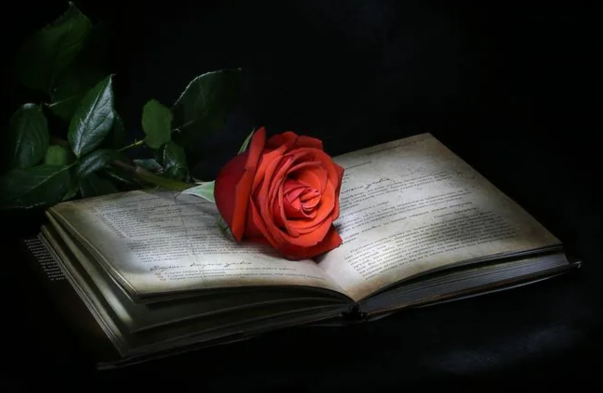 Старая красная книга. Книга цветы. Старые книги и розы. Поэзия.