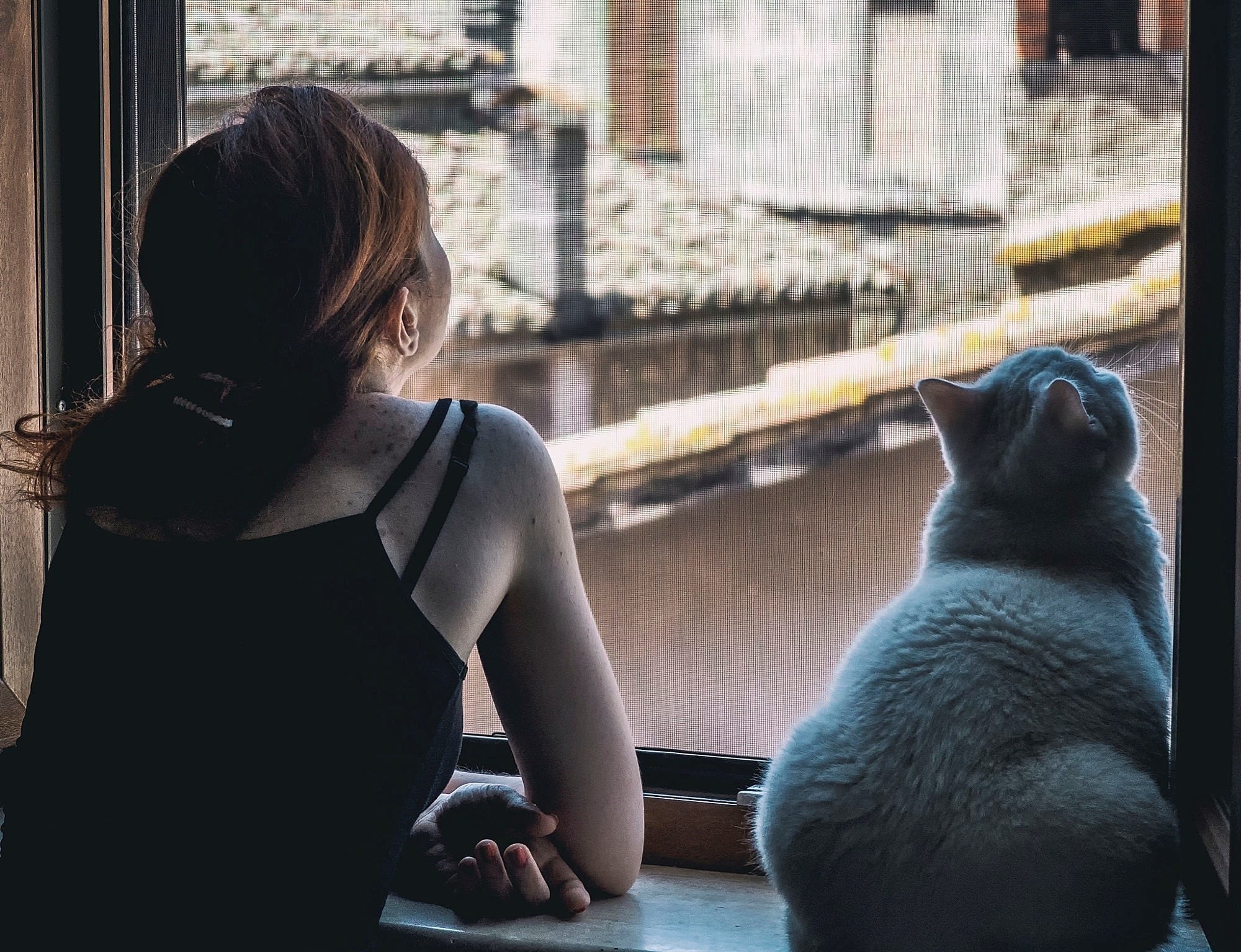 Картинка девушка с кошкой. Девушка с котом. Девушка с котом у окна. Женщина с котом спиной. Девушка с котом на подоконнике.