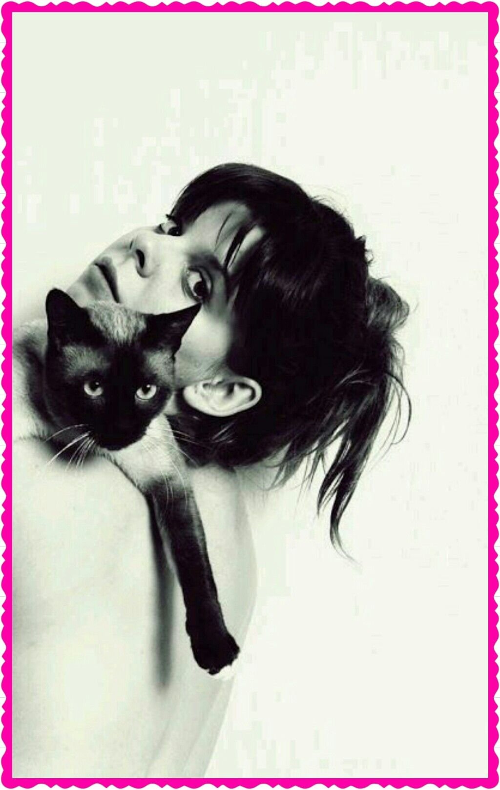 Картинка девушка с кошкой. Девушка кошка. Девушка с кошкой картинки. Брюнетка и котик. Брюнетка с кошкой.