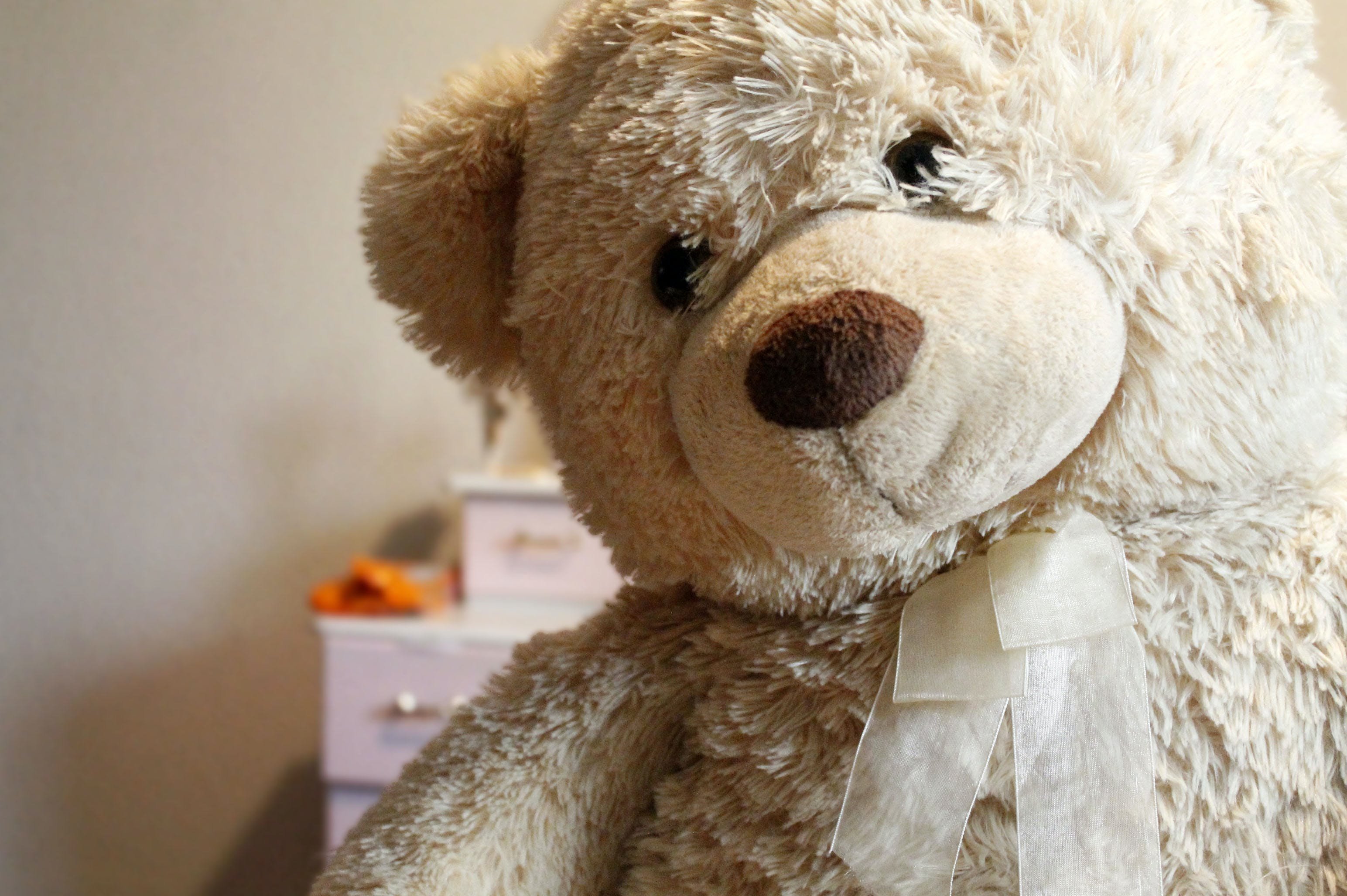 Teddy bear around. Тедди Беар. Мишки Тедди Беар. Красивые игрушки. Плюшевый Медвежонок.