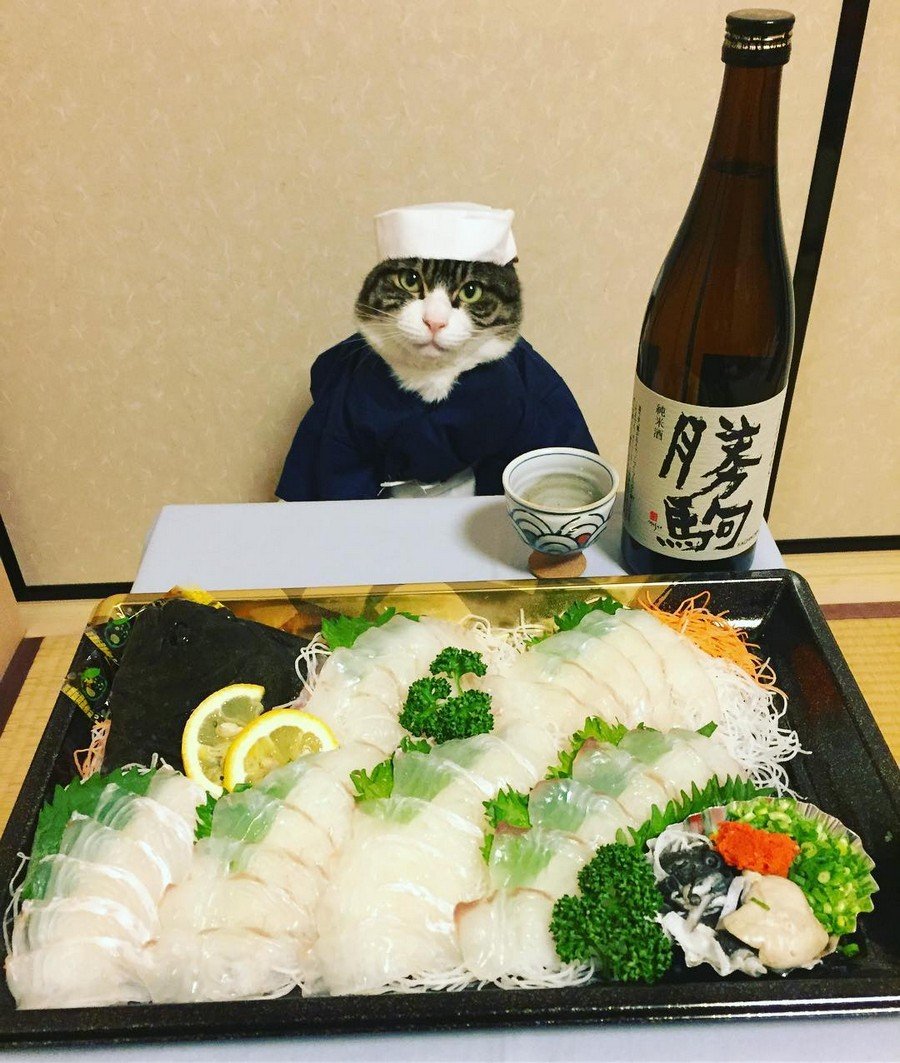 Рисунок на тему суши