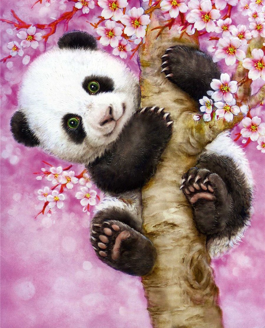 Рисунки для срисовки милые панды (63 фото)