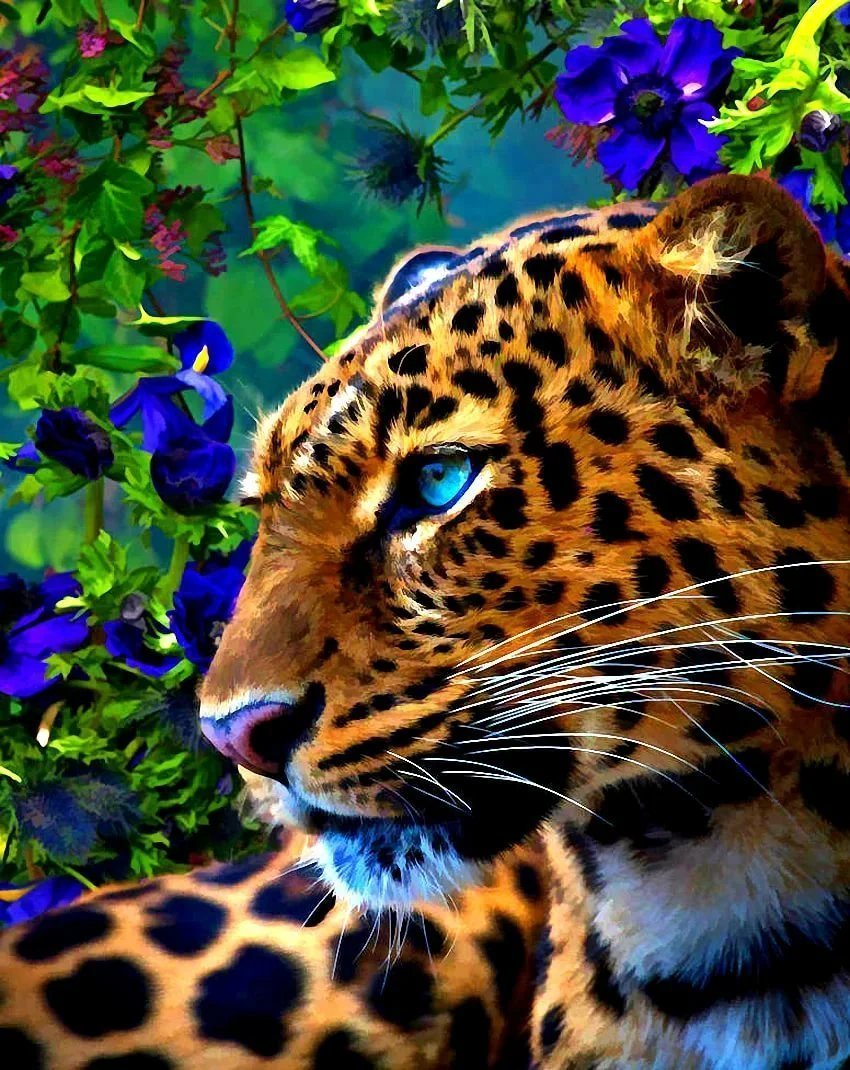 Красивые картинки леопарда