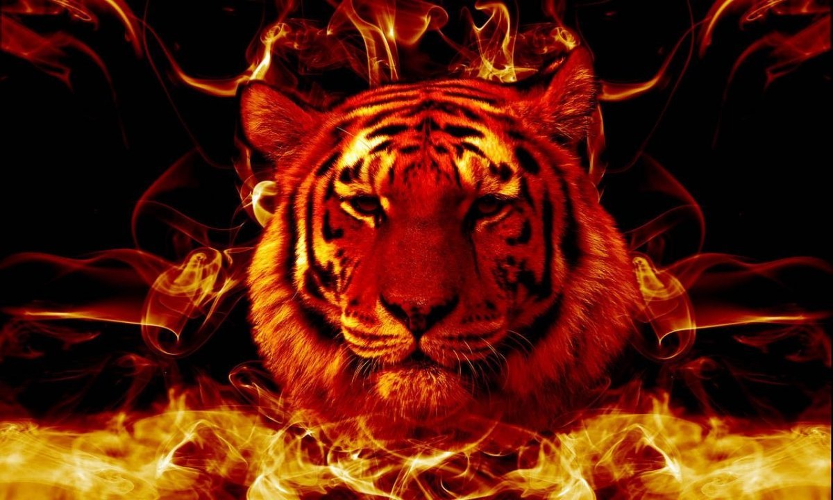 Огненный тигр картинки
