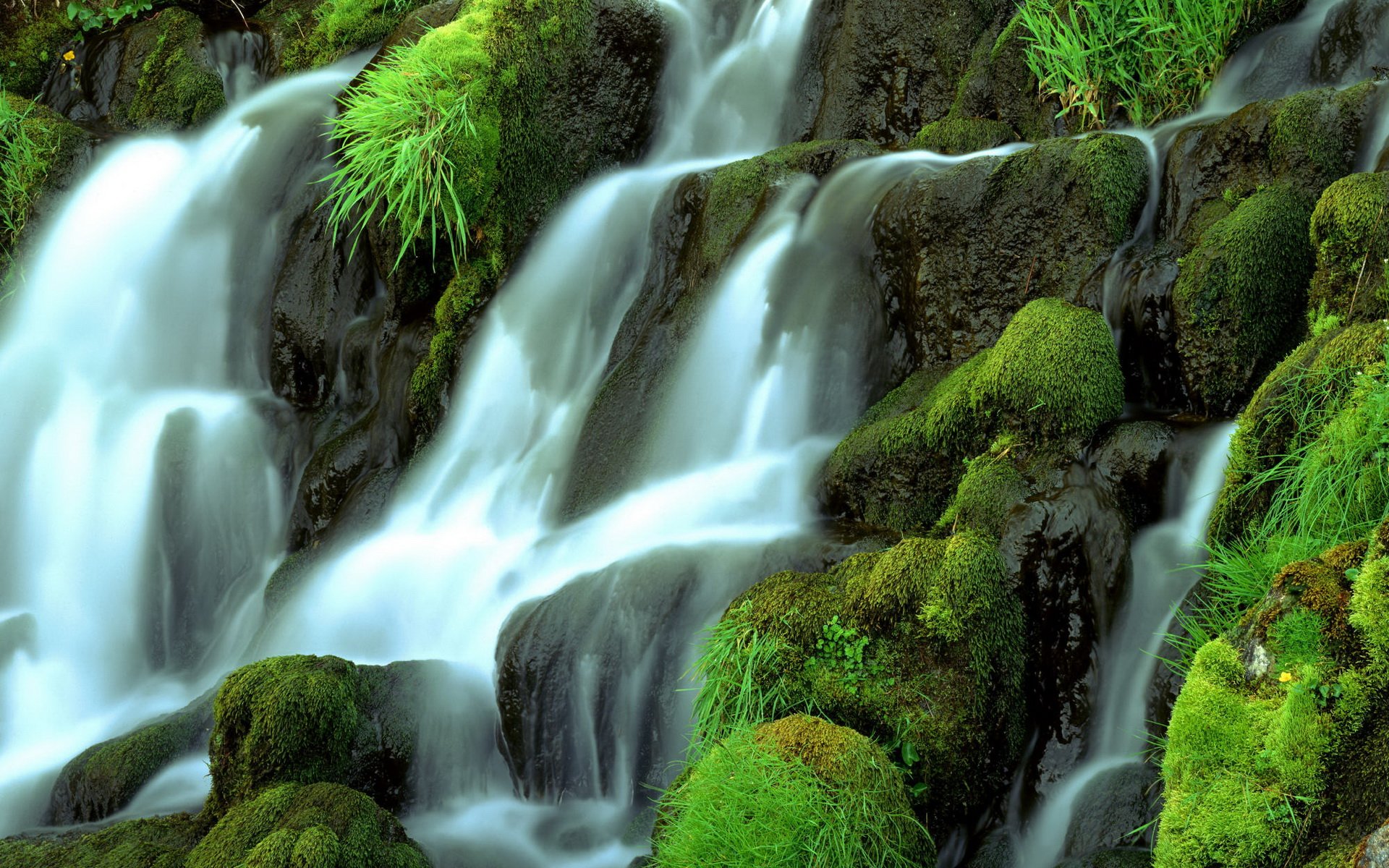 Wallpaper живые. Водопад спахэт. Водопад Бигэр. Живая природа водопады. Живые водопады.