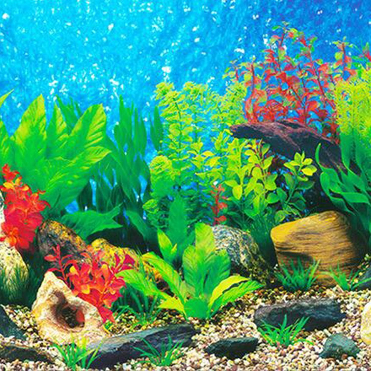Цветкова Т.: Волшебный аквариум. Оформительский и Дидактический набор. 68 картинок