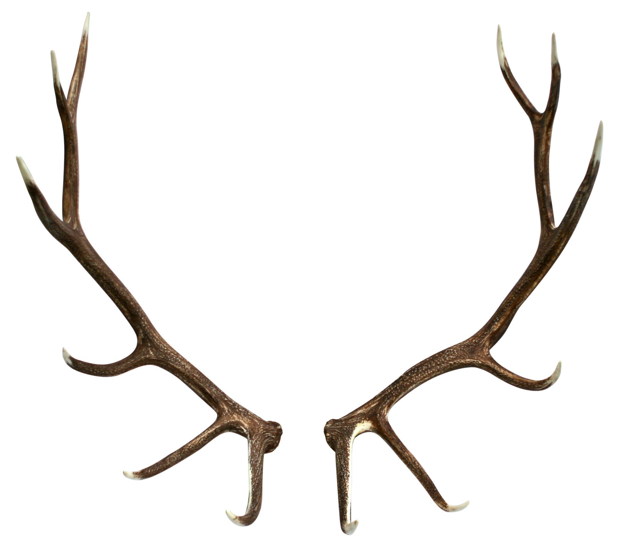 Оленьи рога / Antlers