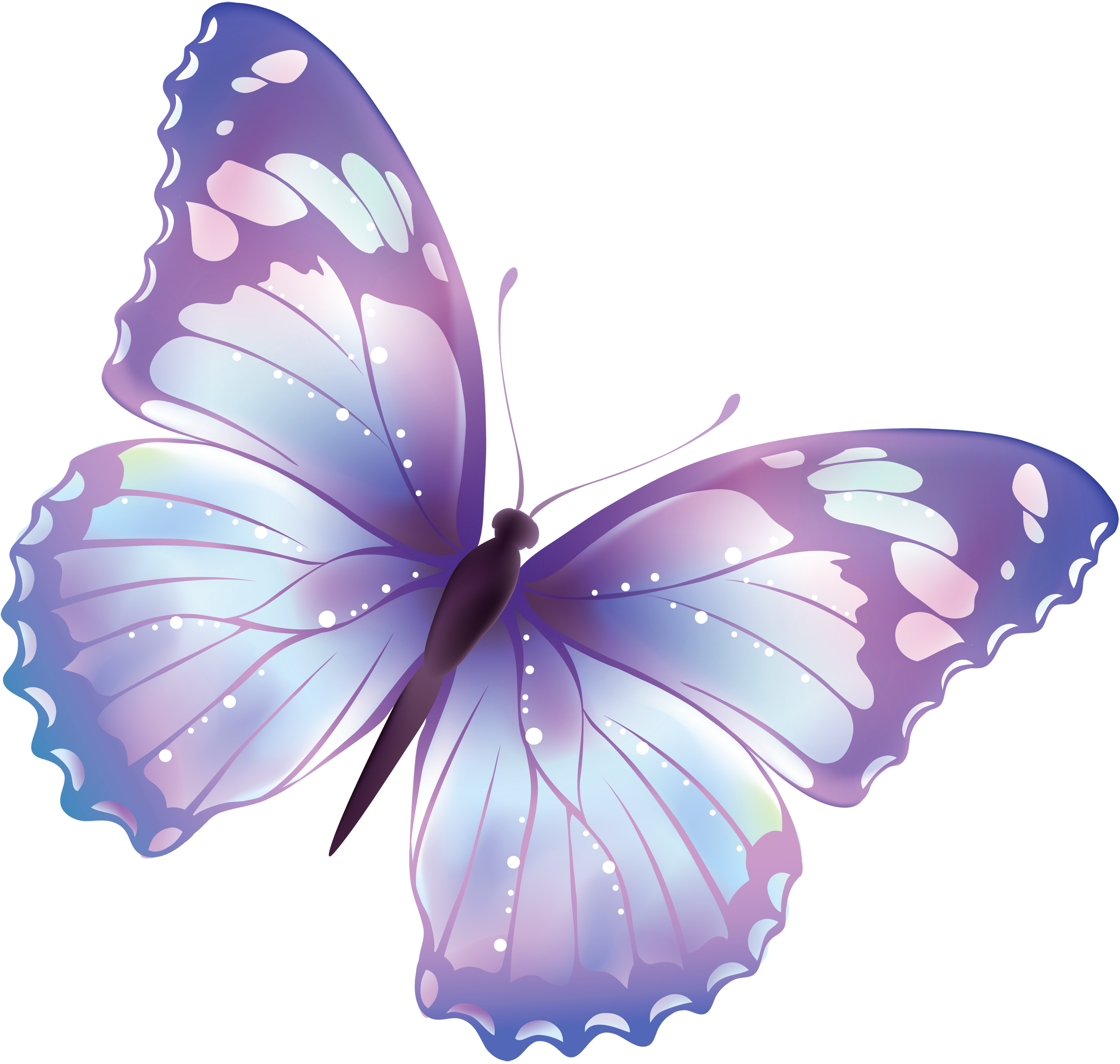 Фиолетовые бабочки картинки. Сиреневые бабочки. Бабочка фиолетовая. Бабочка лиловая. Бабочки на белом фоне.
