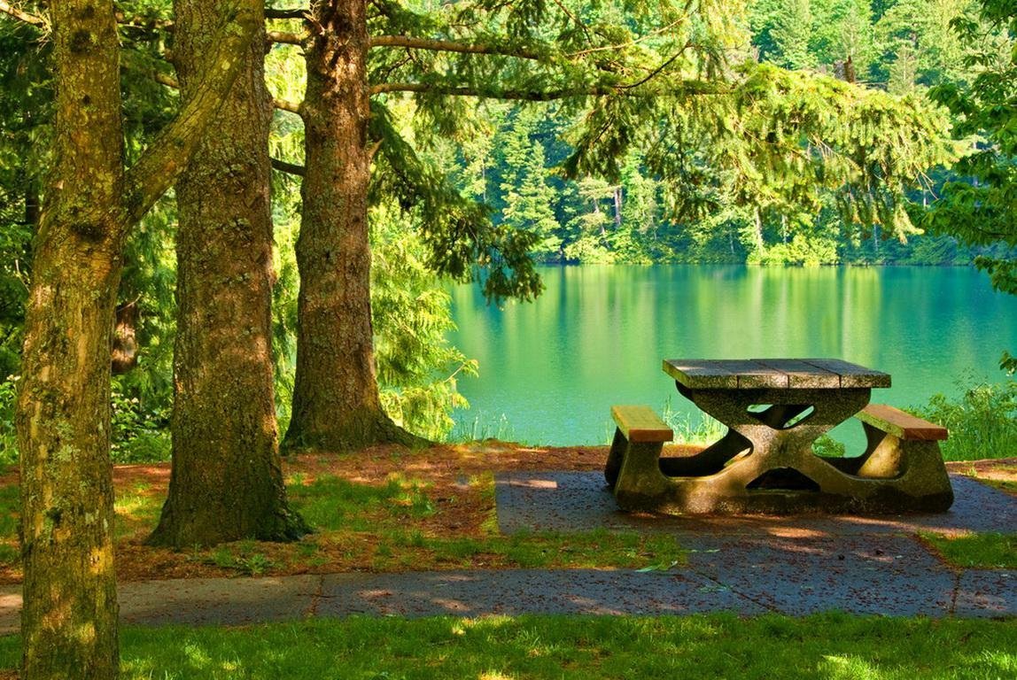 Место отдыха на природе 4. Место отдыха в лесу. Красивые места для пикника. Лавочка со столиком в лесу. Красивая места для пикников.