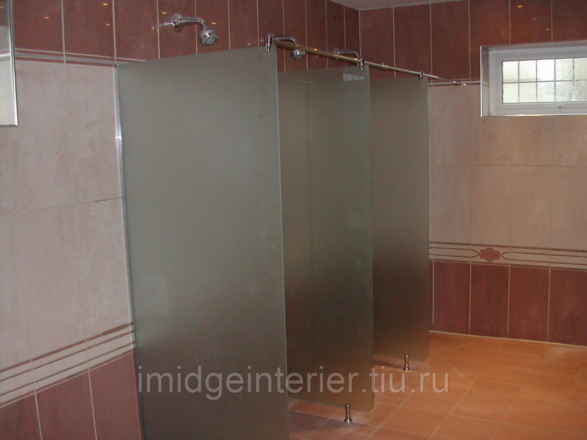 Перегородка душевая 1000х2000 общественные