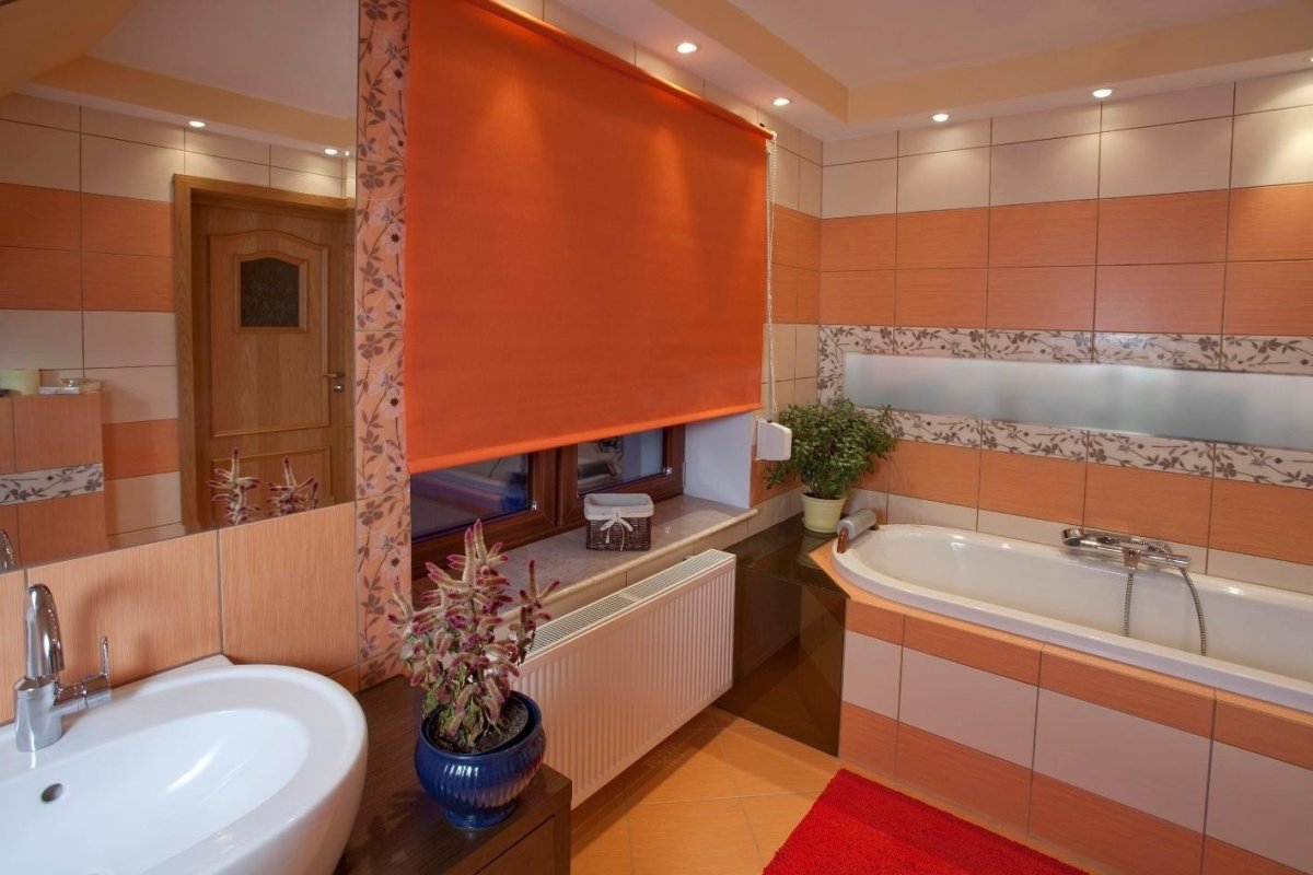 Рулонные шторы «Зебра юни 2»