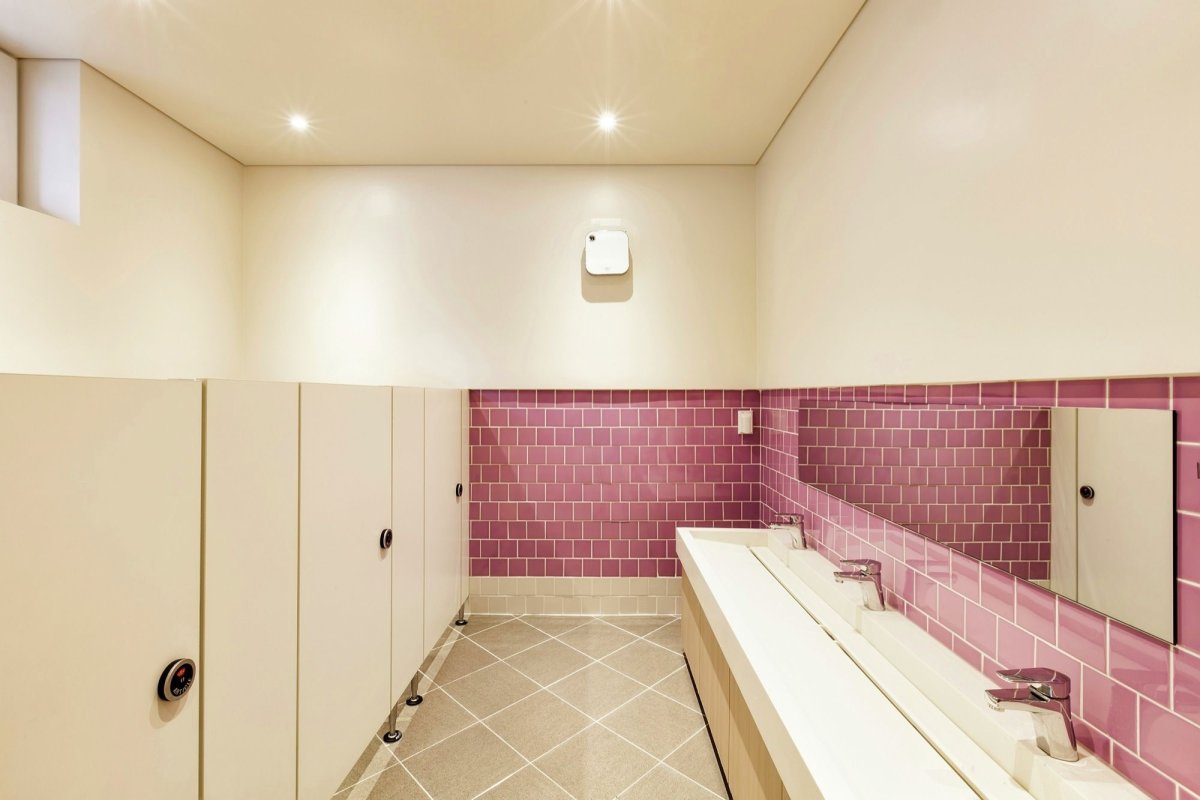 Общественный санузел интерьер