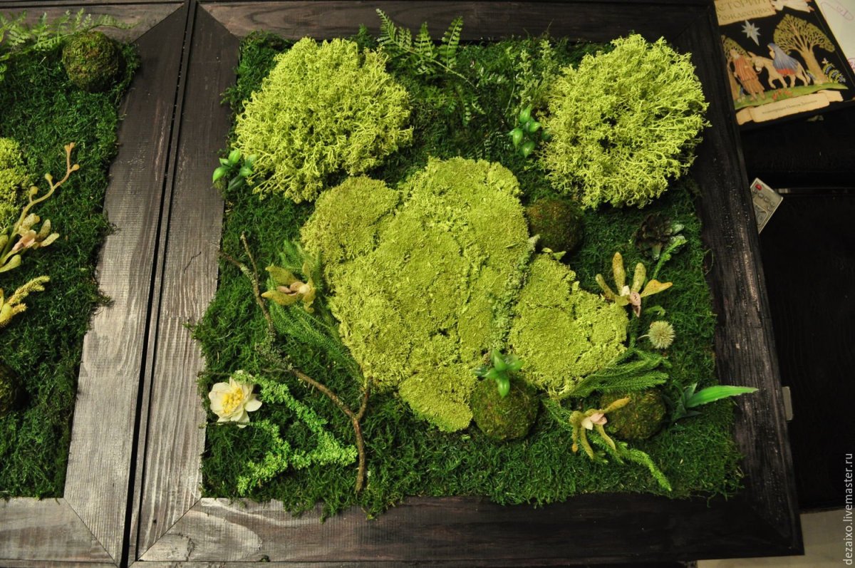 Сублимированный мох