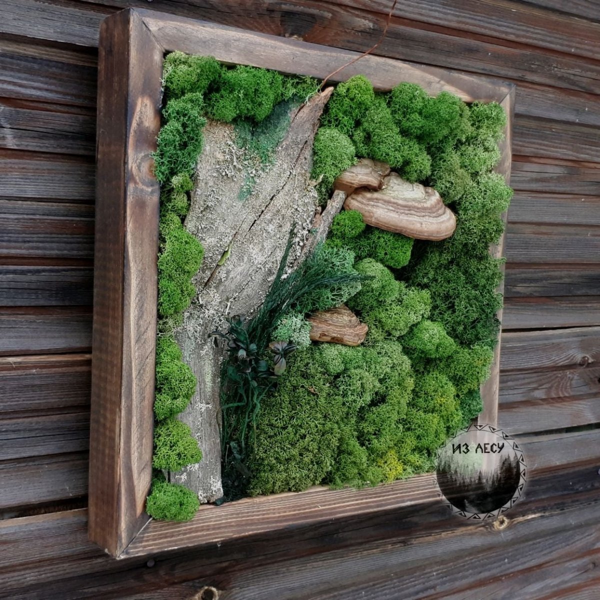 Картины из мха