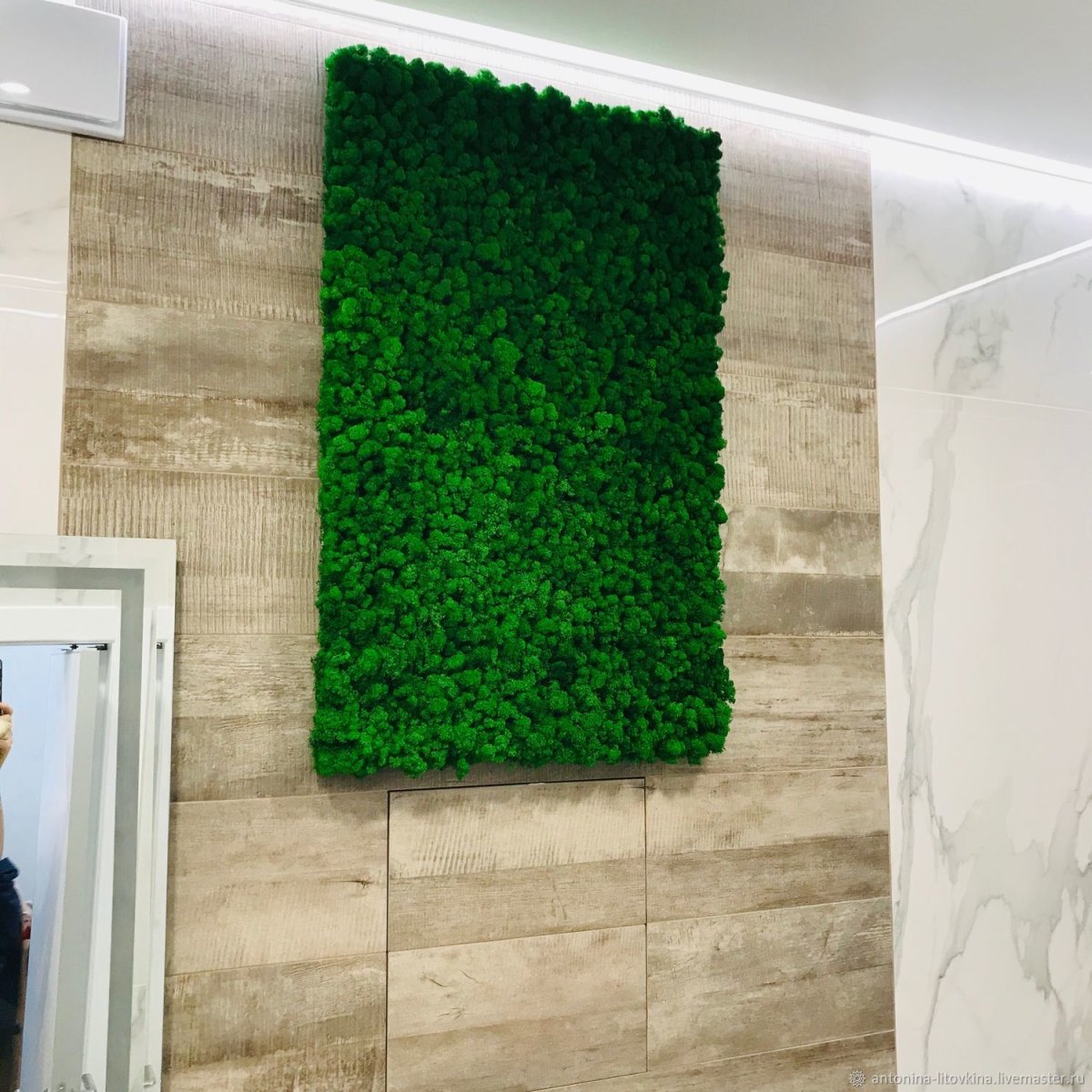 Вертикальное Озеленение мхом