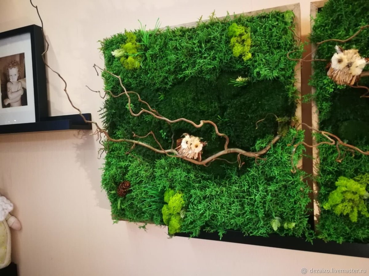 Мох в декоре интерьера