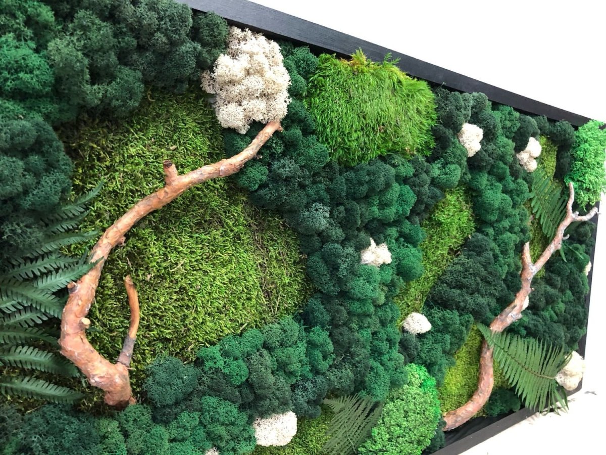 Вертикальное Озеленение в ванной