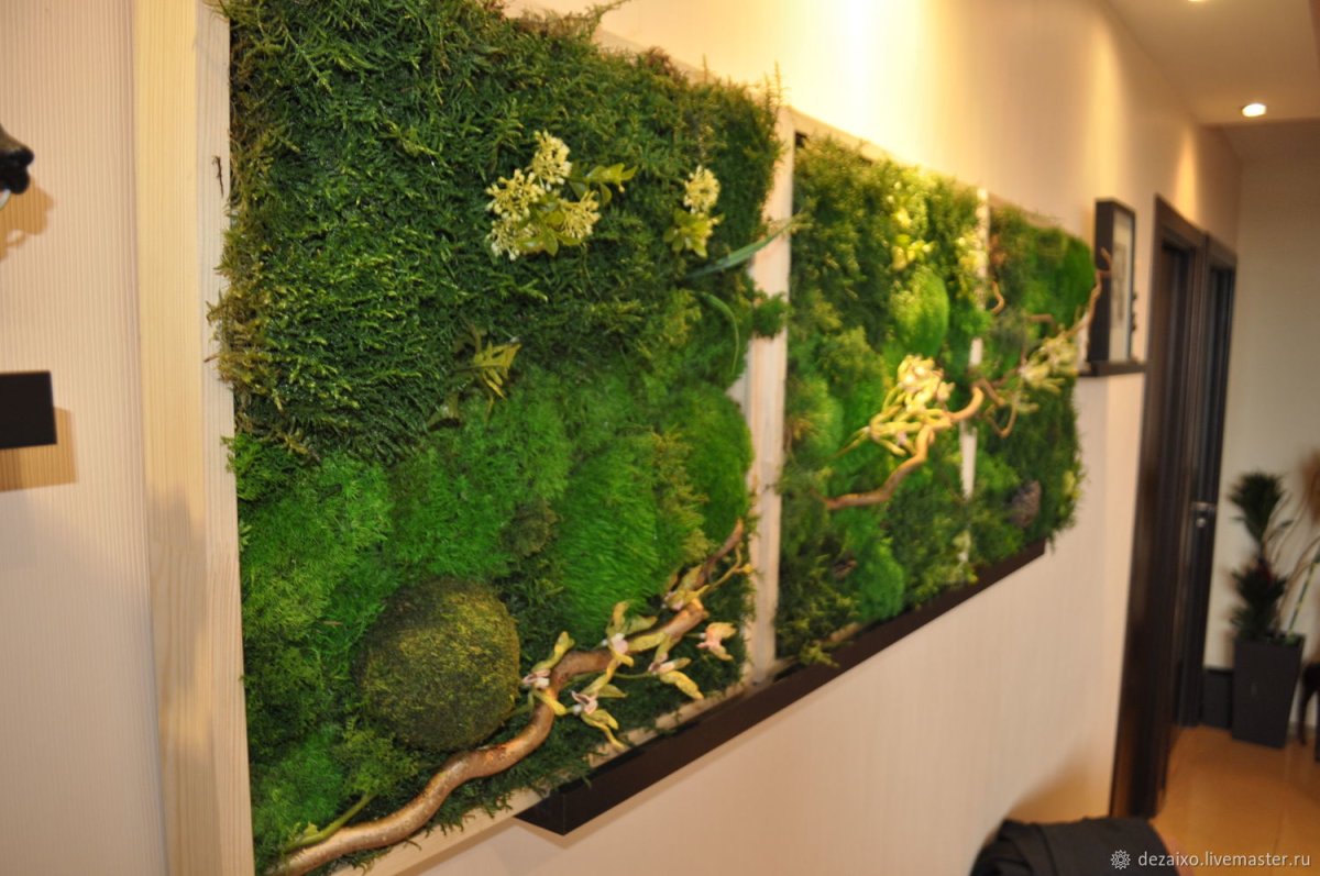 Панно из стабилизированного мха