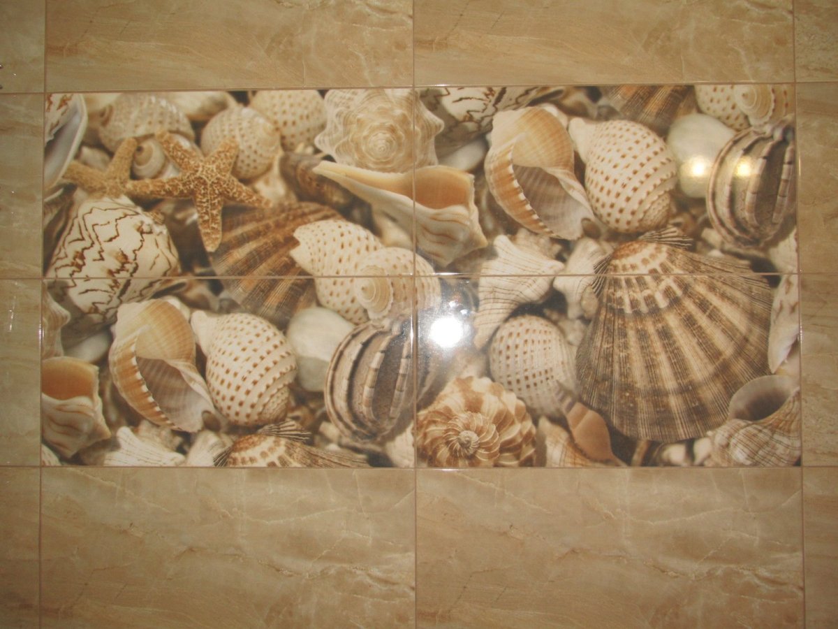 Керамин 20х30 ракушки