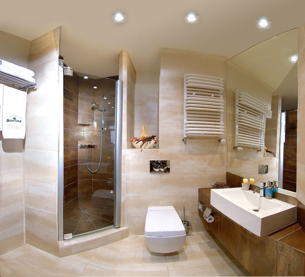 Санузел с душевой зоной