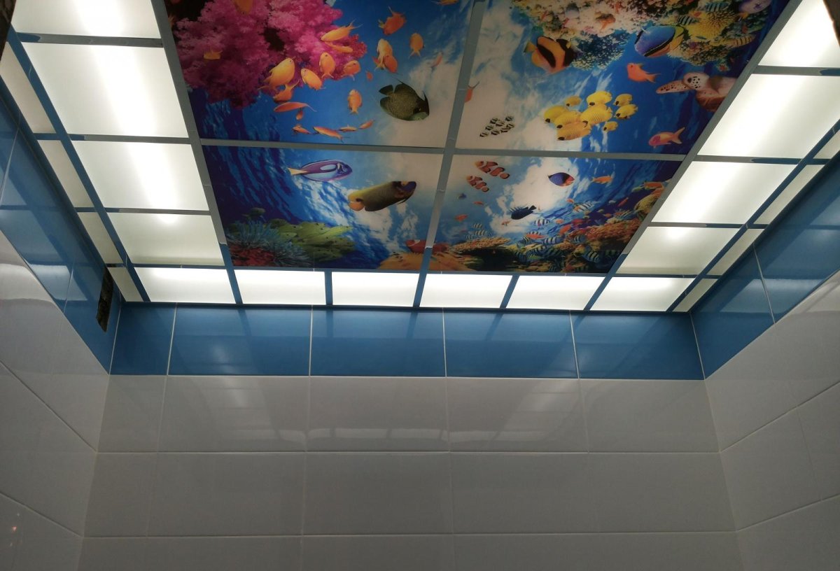 Потолок в ванной