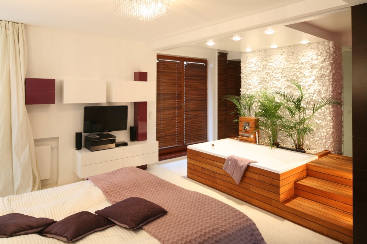 Спальня совмещенная с ванной