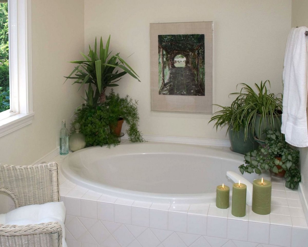 Стабилизированный мох