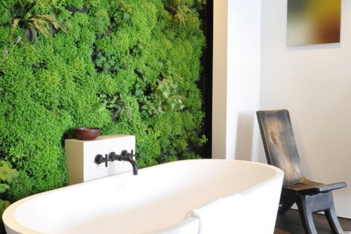Стабилизированные растения в ванной