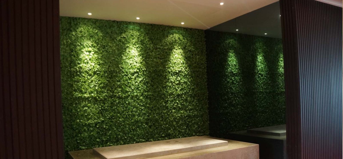 Фитостена самшит