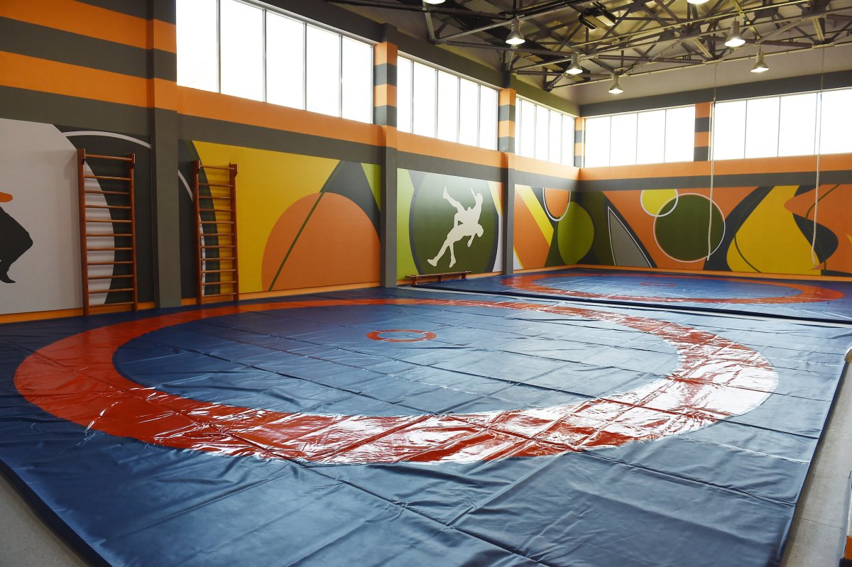 Спортивные залы роспись