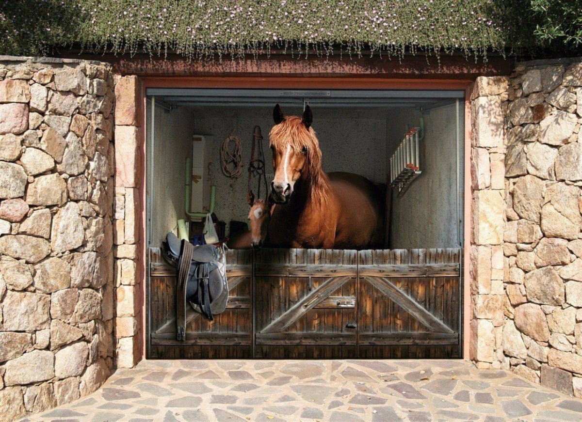 Картины на гаражных воротах