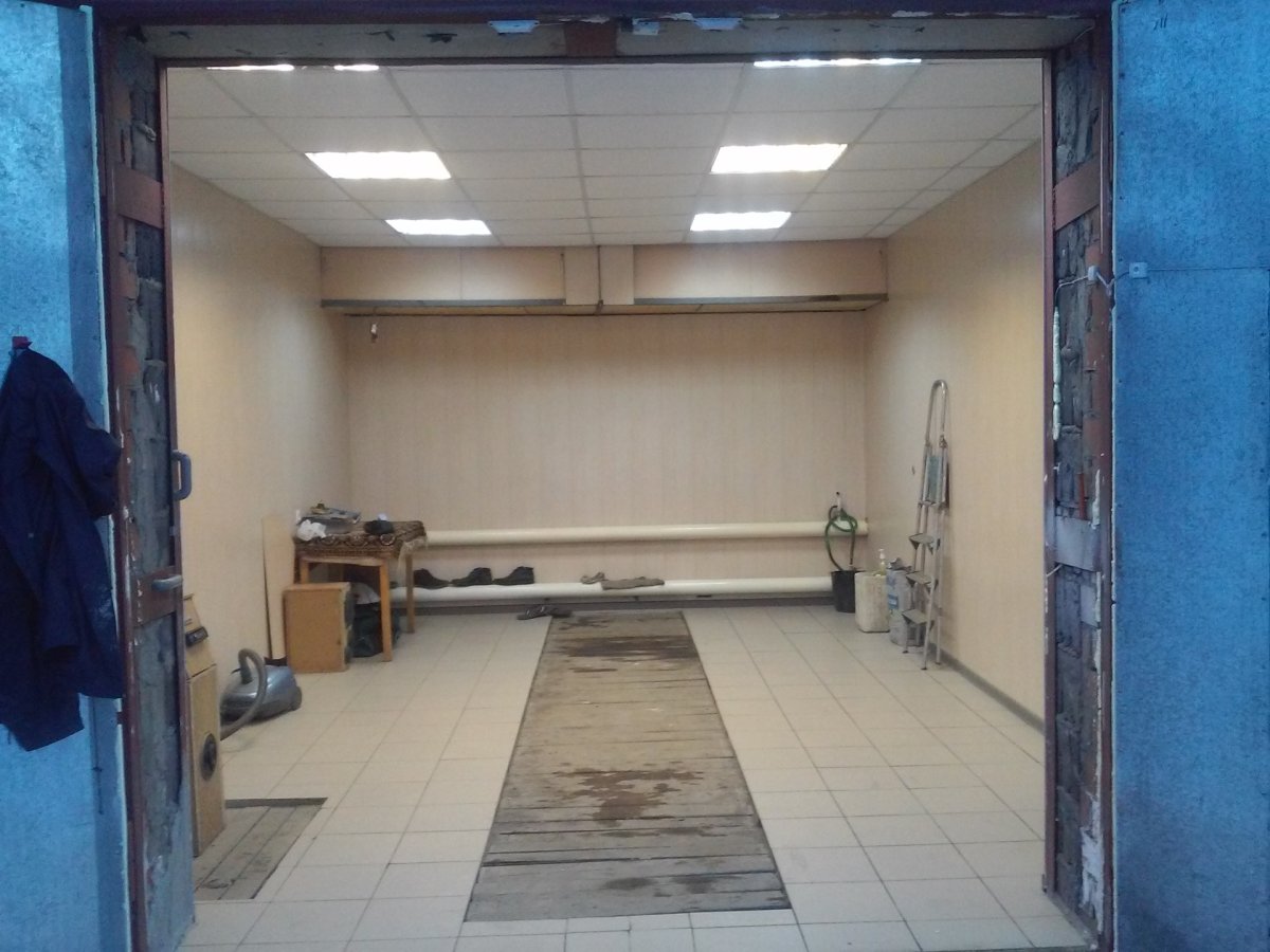 Ретерьер полпу в гараже