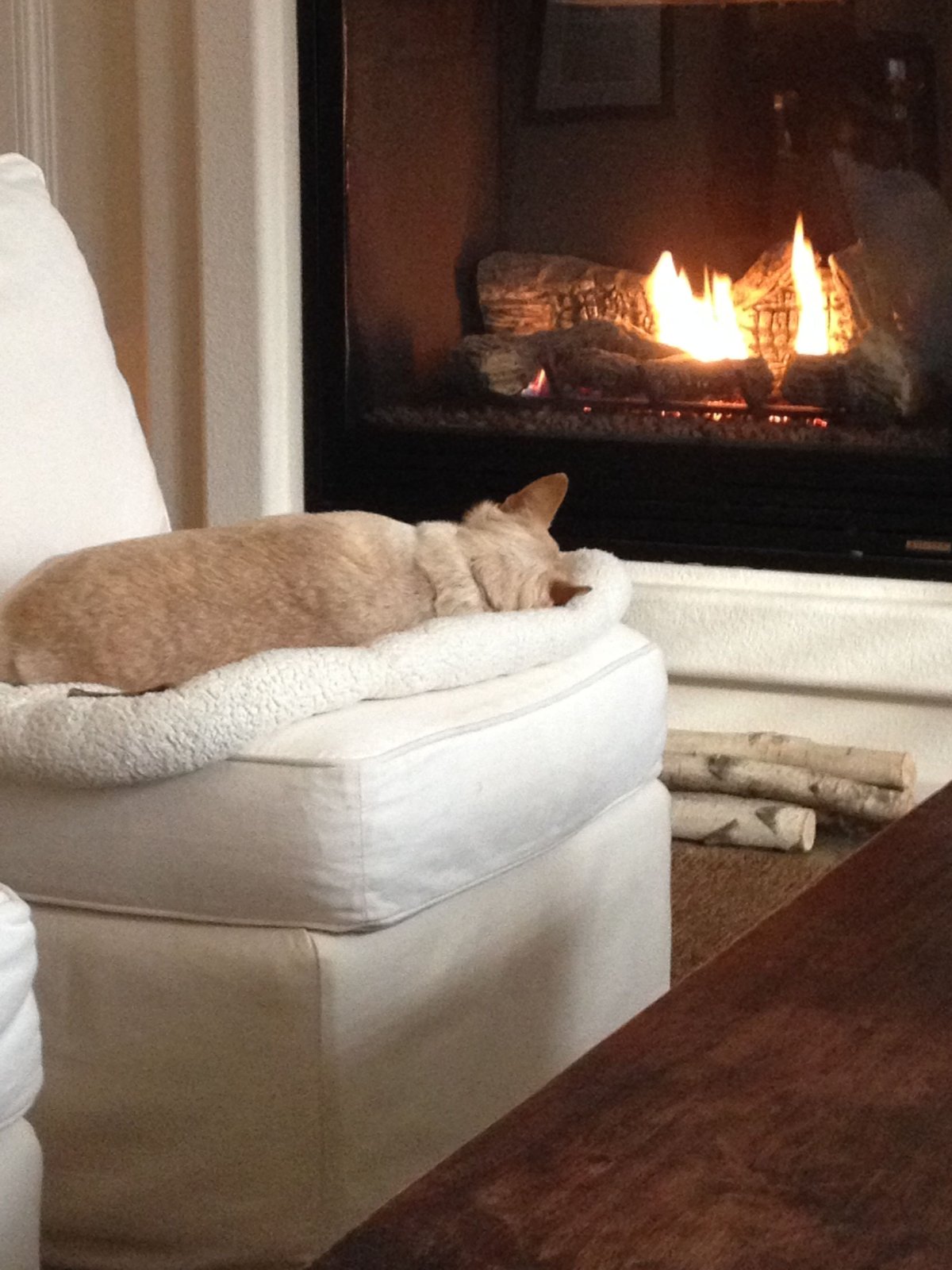 Теплый плед и камин