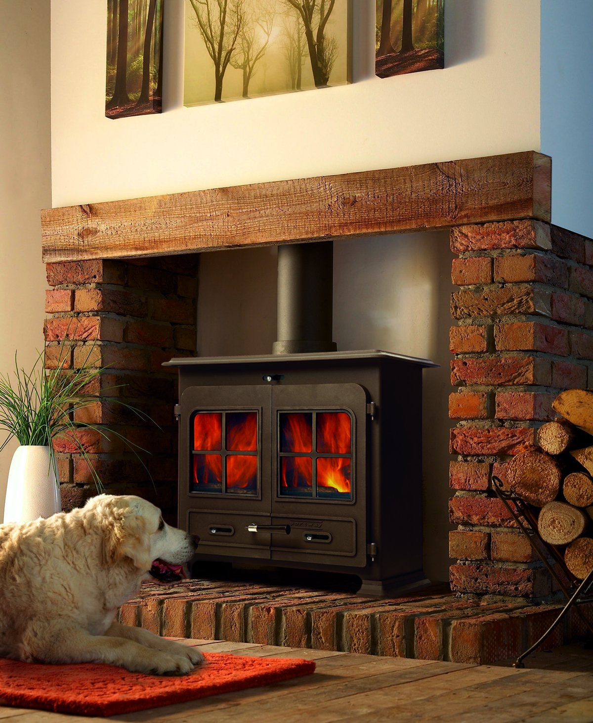 Дровяная печь-камин Fireplace hordo