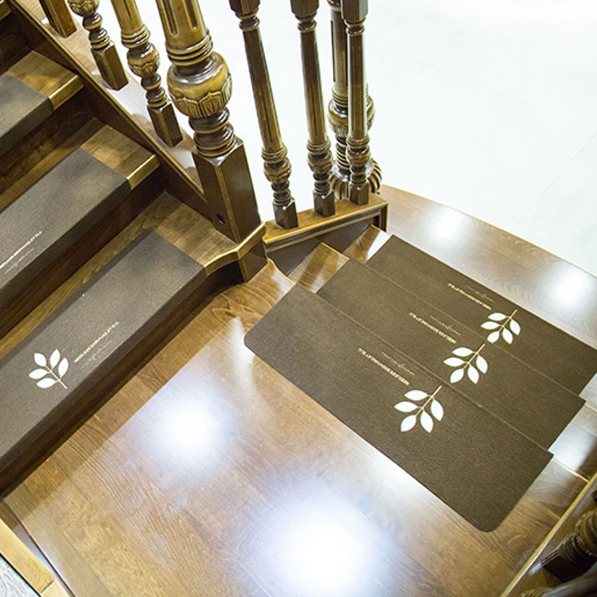 Проступи (накладки на ступени)