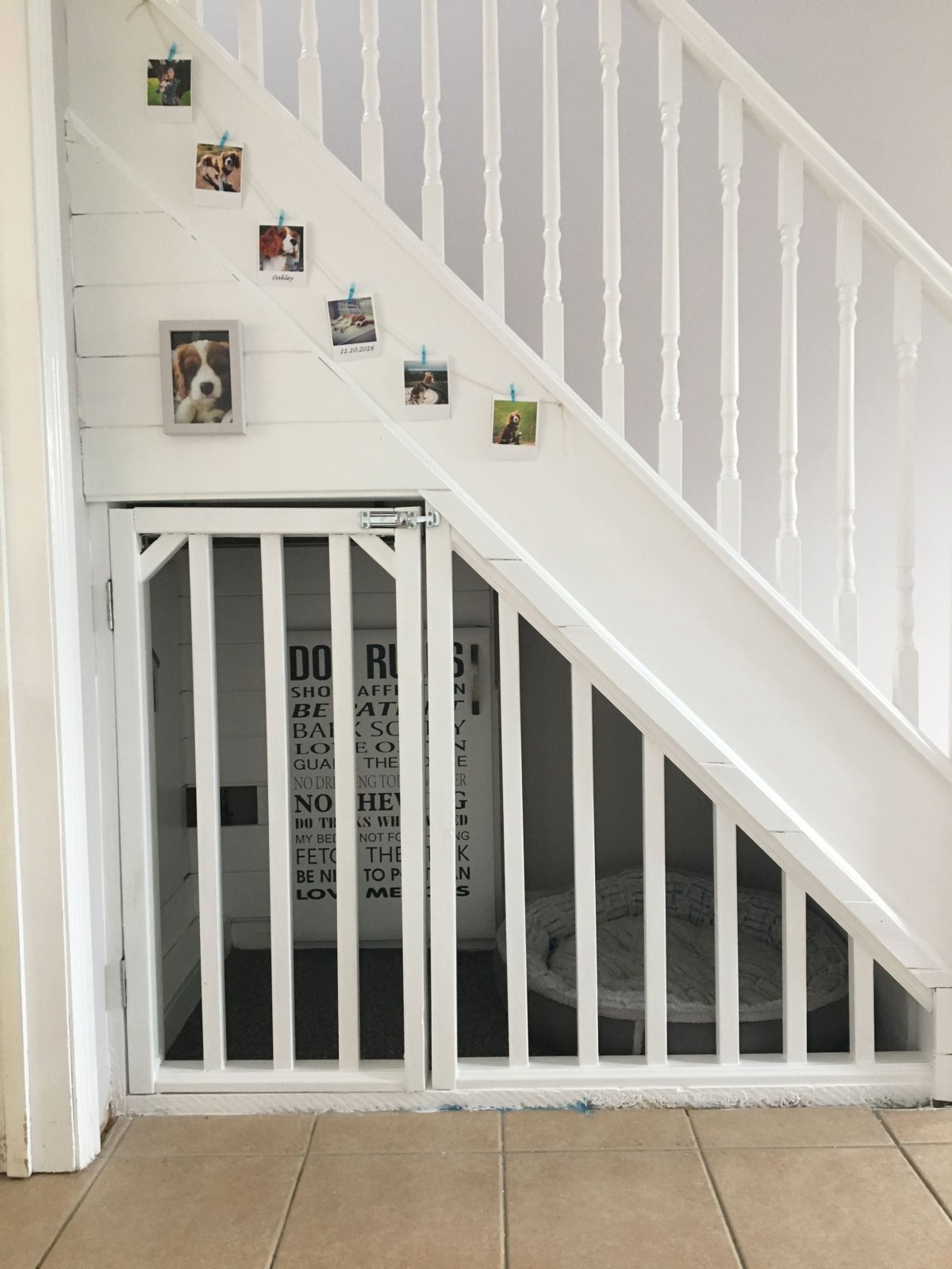 Вольер для собаки под лестницей