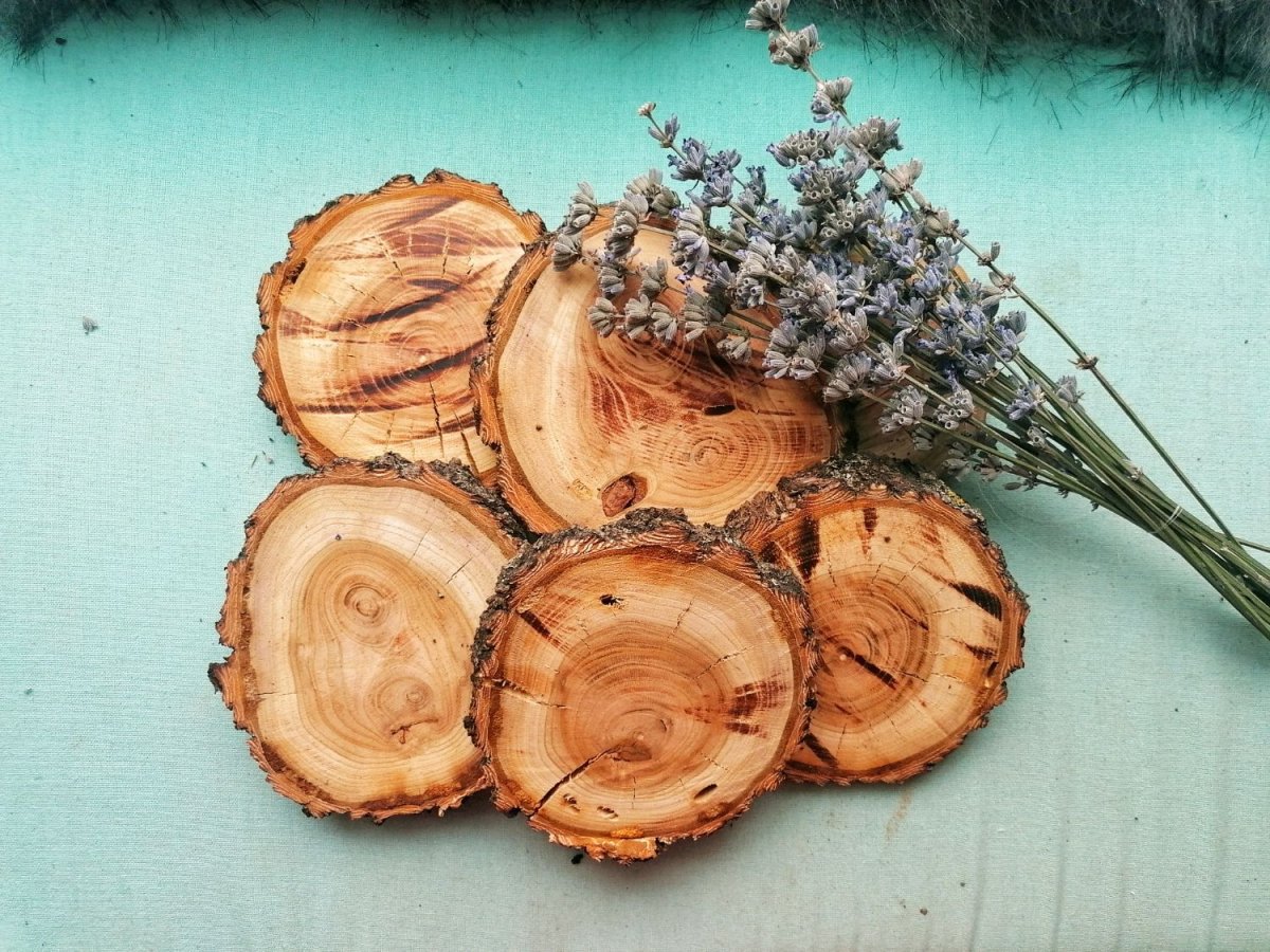 Спилы дерева для декора