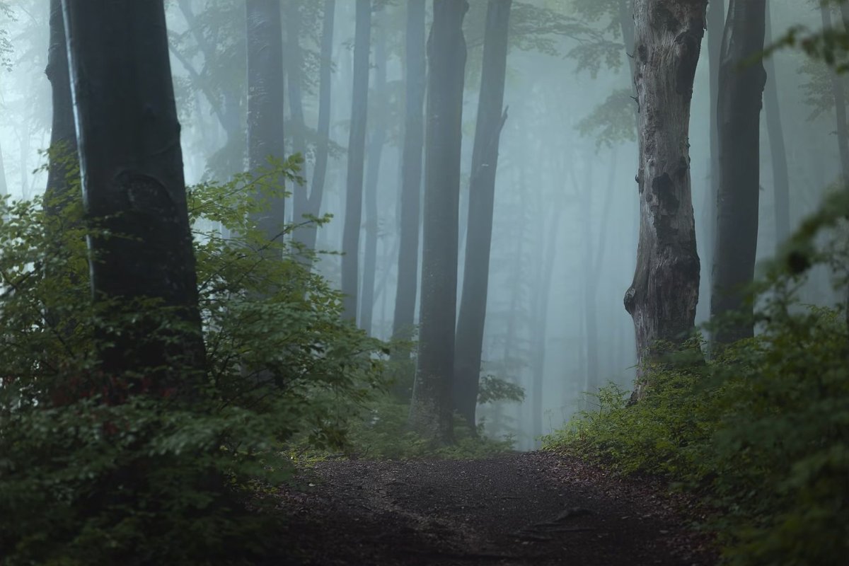 Спальня в стиле леса