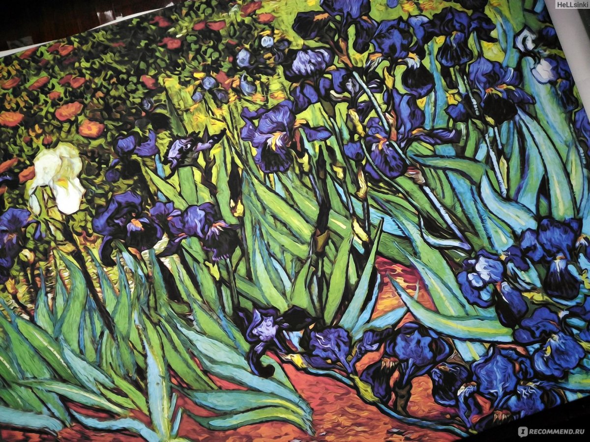 Van Gogh Almond Blossom Wallpaper