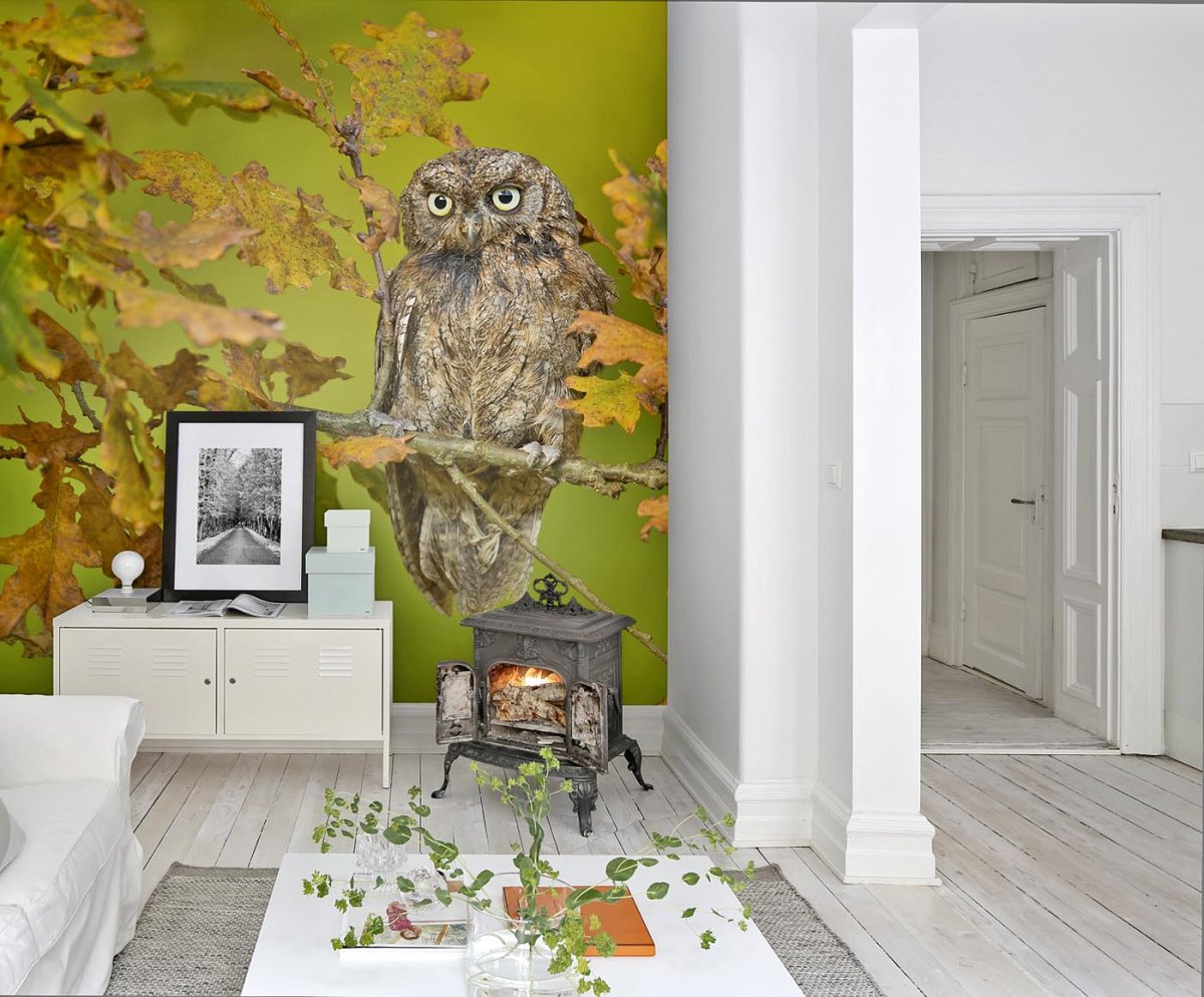 Совы в интерьере квартиры